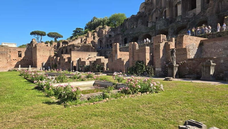 Rome: Colosseum, Roman Forum, and Palatine Hill Guided Tour - Final Thoughts