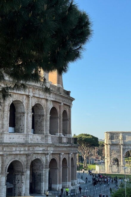 Rome: Colosseum, Roman Forum and Palatine Hill Guided Tour - Inclusions and Exclusions