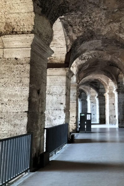 Rome: Colosseum, Roman Forum and Palatine Hill Guided Tour - Meeting Point and Information