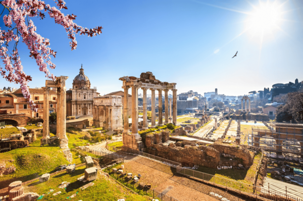 Rome: Colosseum, Roman Forum and Palatine Hill Guided Tour - Security and Accessibility