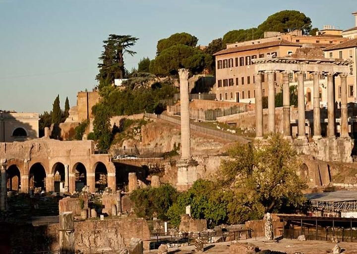 Rome: Colosseum, Roman Forum and Palatine Hill Private Tour - Activity Details
