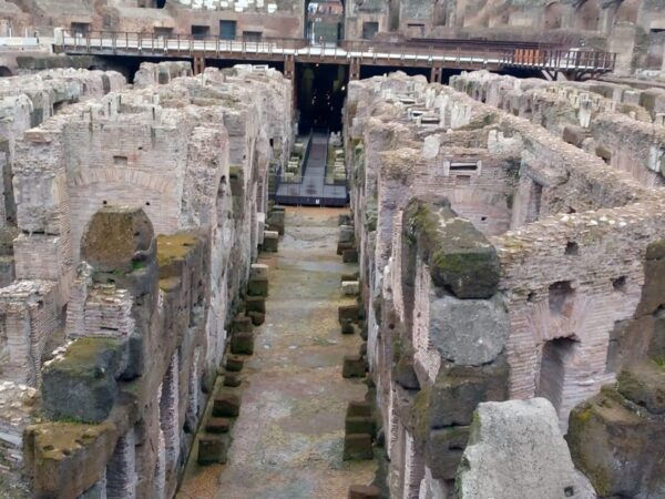 Rome: Colosseum, Roman Forum & Palatine Entry - Exploring the Colosseum
