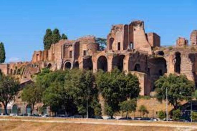 Rome: Colosseum, Roman Forum & Palatine Hill Private Tour - Skip-the-Line Access