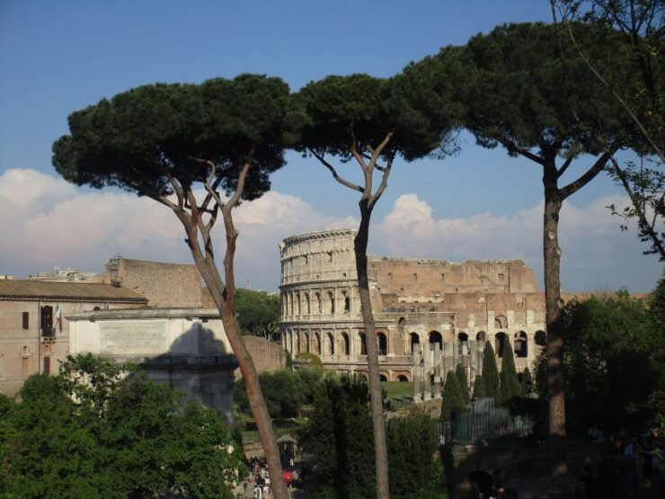 Rome: Colosseum Tour With Local Guide and Entry Ticket - Highlights of the Tour