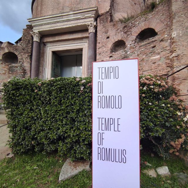 Rome: Colosseum Tour With Roman Forum & Palatin Hill - Experience Highlights