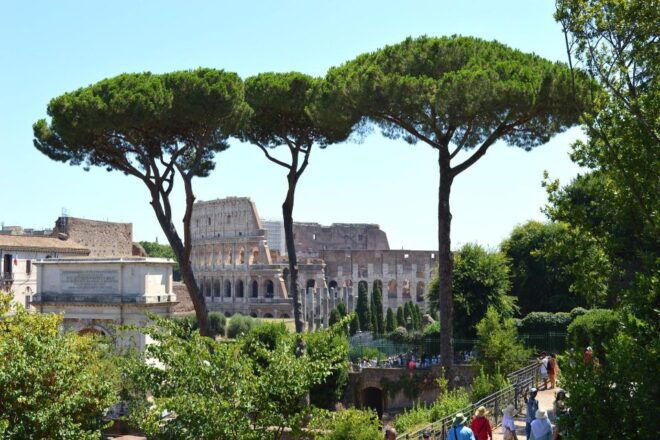 Rome: Colosseum Underground & Roman Forum With Private Guide - Important Information