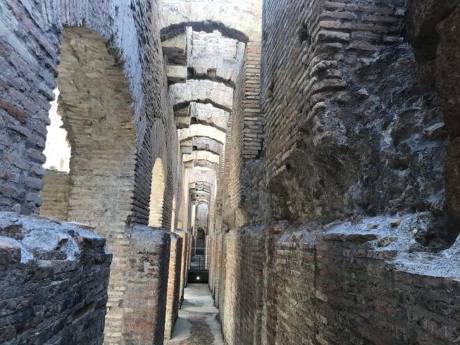 Rome: Colosseum Underground With Roman Forum & Palatine Hill - Restrictions and Requirements