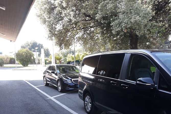 Rome Countryside Delights: Exclusive Wine Tasting Tour - Vineyard Exploration