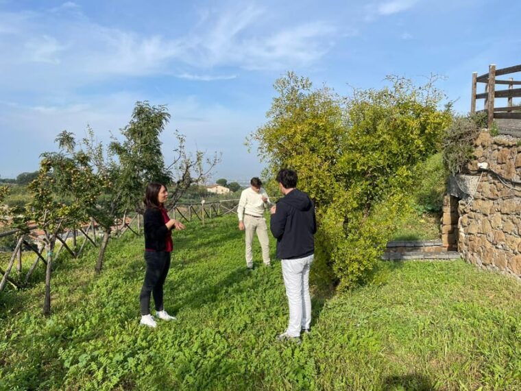 Rome Countryside: Wine Tasting Tour with Private Driver - FAQ