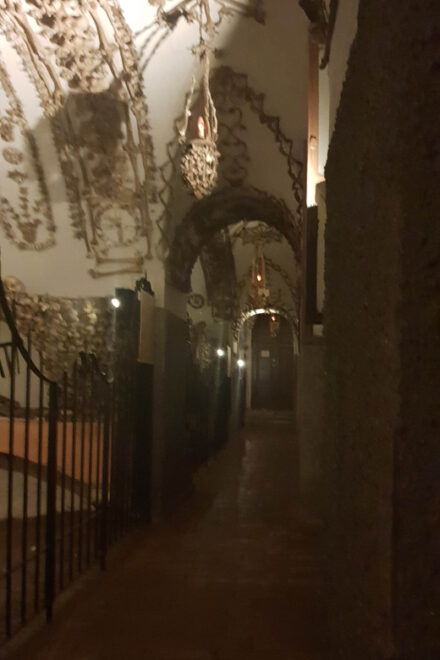 Rome: Crypts, Catacombs and Skeletons Underground Tour - Important Visitor Information