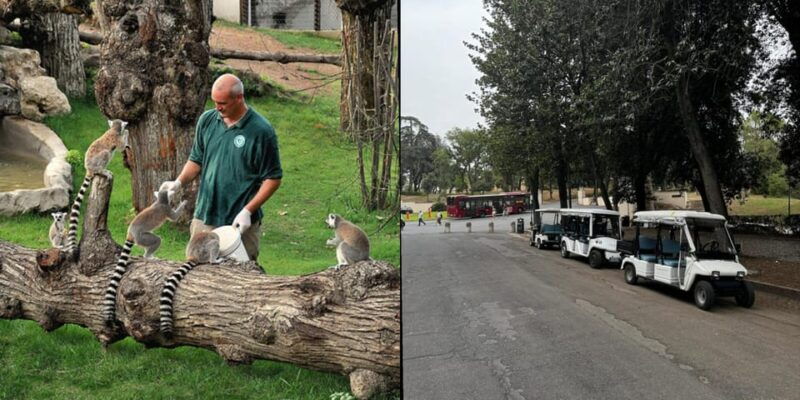 Rome: Entrance Ticket to the Zoo+Golf Cart Tour of Villa Borghese - Good To Know