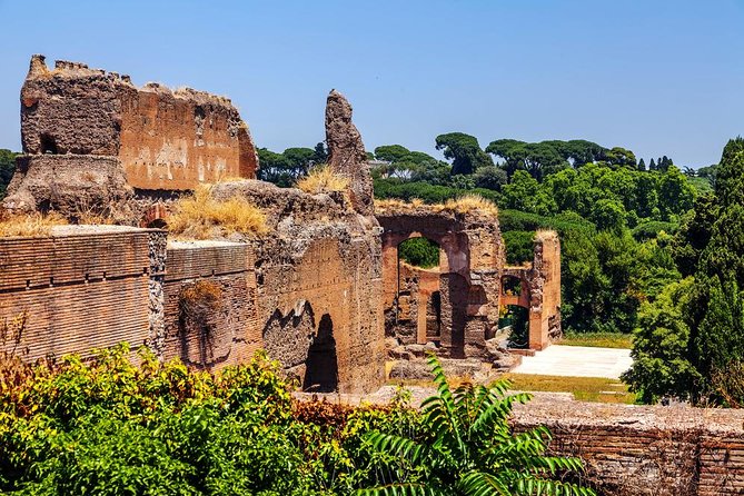 Rome Exclusive Caracalla Bath Private Guided Tour VIP Entry - Pricing and Booking Details