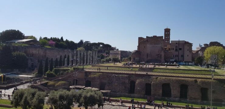 Rome: Fast-Track Private Colosseum Arena & Palatine Hill - Good To Know