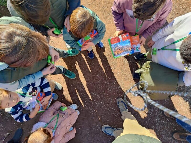 Rome for Kids: Colosseum and Roman Forum Tour - Good To Know