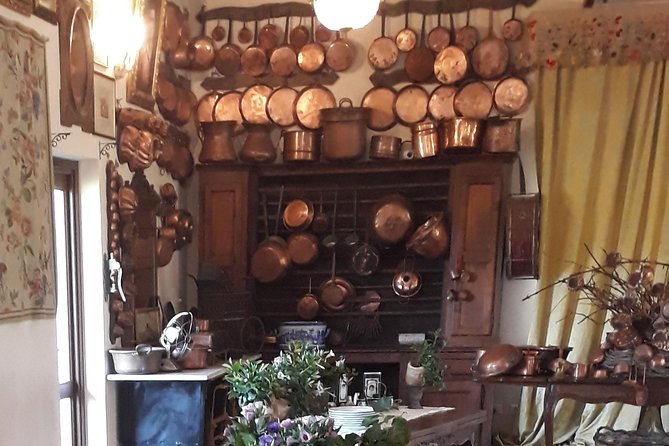 Rome - Frascati: Private Wine Tasting Tour - Ideal for Travelers