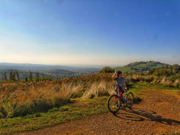 Rome: Frascati Vineyard Bike Tour With Train Tickets - Itinerary Highlights