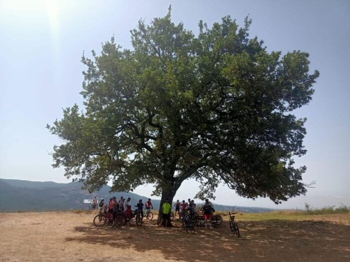 Rome: Frascati Vineyard Bike Tour With Train Tickets - What to Bring for the Tour