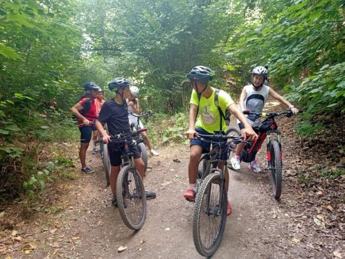 Rome: Frascati Vineyard Bike Tour With Train Tickets - Additional Tips for a Great Experience