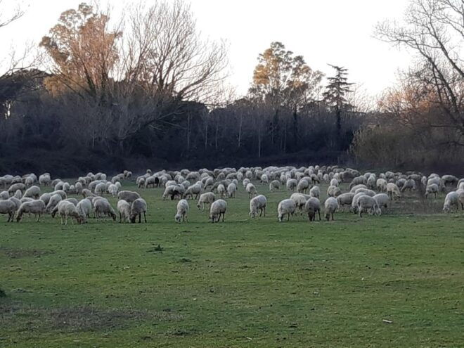 ROME: FROM THE CIRCUS MAXIMUS TO THE CATACOMBS - The Sum Up
