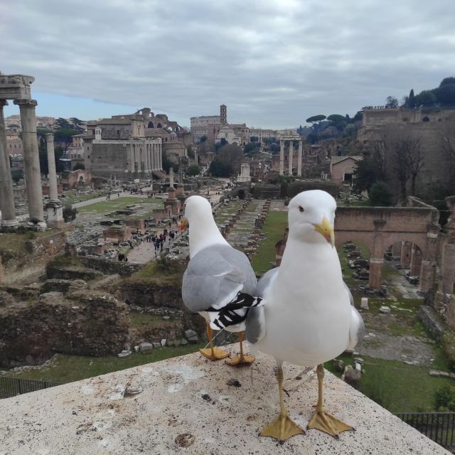 Rome: Full-Day Private Golf Cart Expedition and Vatican Tour - Important Information