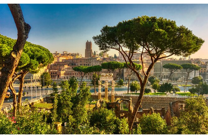 Rome Full Day Sightseeing With Private Driver - Itinerary Options