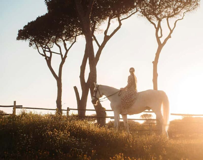 Rome: Horseback Riding Experience in Castel Fusano - Introduction