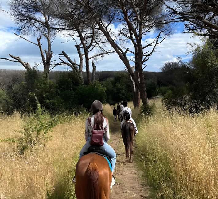 Rome: Horseback Riding Experience in Castel Fusano - The Itinerary Breakdown