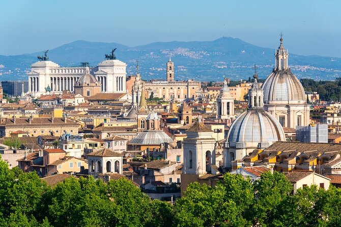 Rome Hourly Rate Disposal Service With Private Driver in Luxury Van - Pickup and Drop-off Details