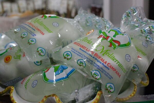 Rome: Italian Food and Wine Guided Tasting Experience - The Sum Up