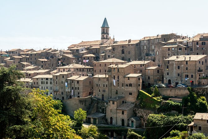 ROME LUXURY Tour: Viterbo Private TOUR From ROME - Pickup Information