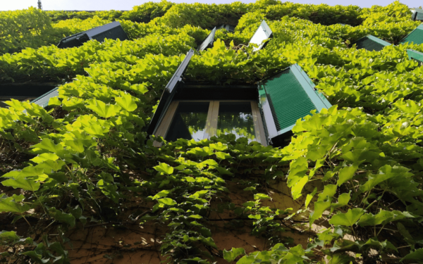 Rome: Monti Sustainable Fashion Tour + Personal Shopper - Frequently Asked Questions