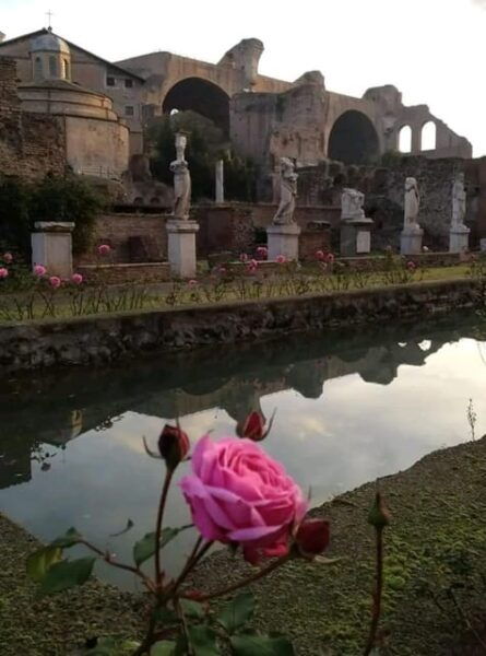 Rome of the Emperors : Ancient Rome-No Entrance. - Frequently Asked Questions