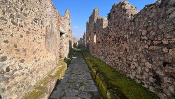 Rome: Pompeii Tour With Wine and Lunch by High Speed Train - Positive Reviews From Satisfied Customers