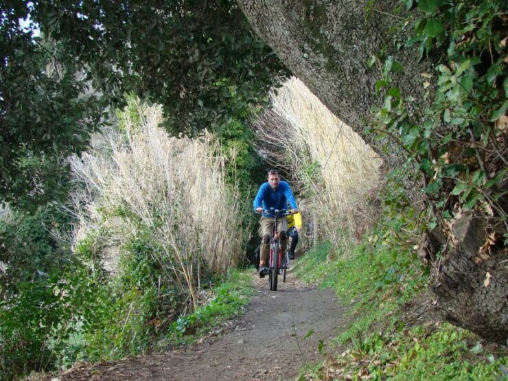 Rome: Private Appian Way & Albano Lake Full-Day E-Bike Tour - Good To Know