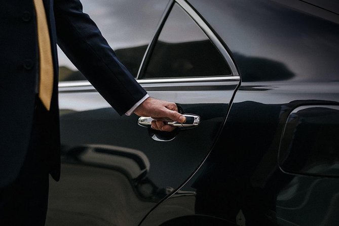 Rome Private Car & Chauffeur for Business, Shopping, Sightseeing - Overview