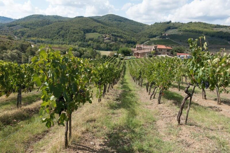 Rome: Private & Fully Customizable Day Trip to Tuscany. - Discovering Tuscany: A Private Day Trip From Rome