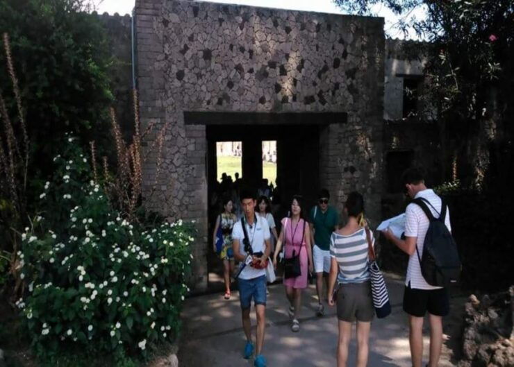 Rome: Private Guided Pompeii Ruins Tour With Hotel Transfer - Booking Information