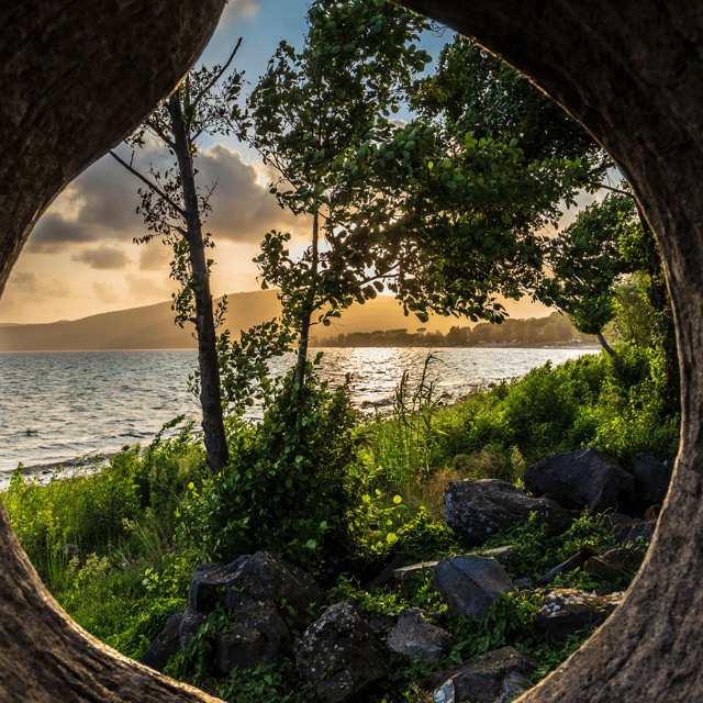 Rome: Private Tour Bracciano and the Fairytale Castle - Inclusions of the Tour