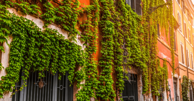 Rome Private Tour: Eat, Pray, Love - Coffee Stop