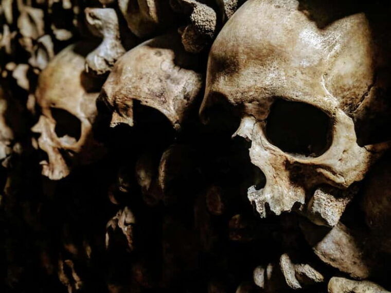 Rome: Private Tour of Crypts and Catacombs - Price and Value