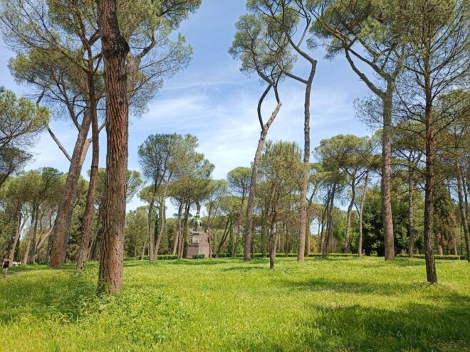 Rome: Private Tour With a Local Guide - Important Information