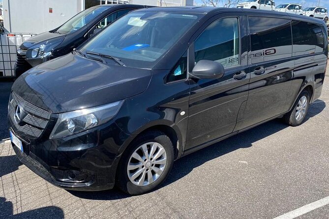 Rome Private Transfer to Civitavecchia Sea Port - Good To Know