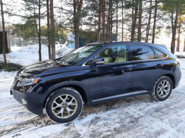 Rome: Private Transfer To/From Fiumicino Airport Rome (Fco) - Price and Duration