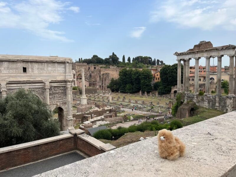 Rome: Private Walking City Tour with a Guide - A Closer Look at the Tour Experience