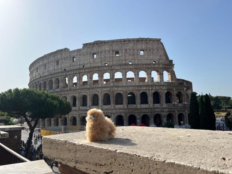 Rome: Private Walking City Tour with a Guide - What You Need to Bring