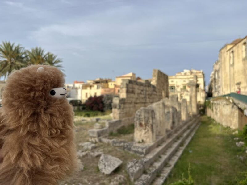 Rome: Private Walking City Tour with a Guide - FAQs