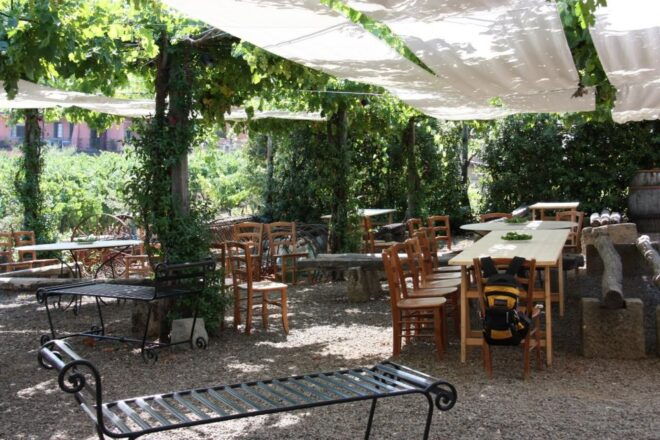 Rome: Private Wine Tour and Pasta Making Class in a Winery - Important Information