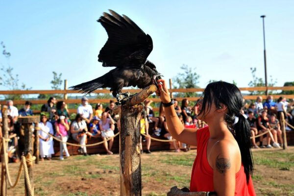 Rome: Roma World Entry Ticket With Archery, Shows, and More - The Sum Up