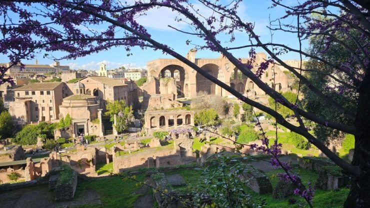 Rome: Roman Forum and Palatine Hill In-Depth Guided Tour - Highlights