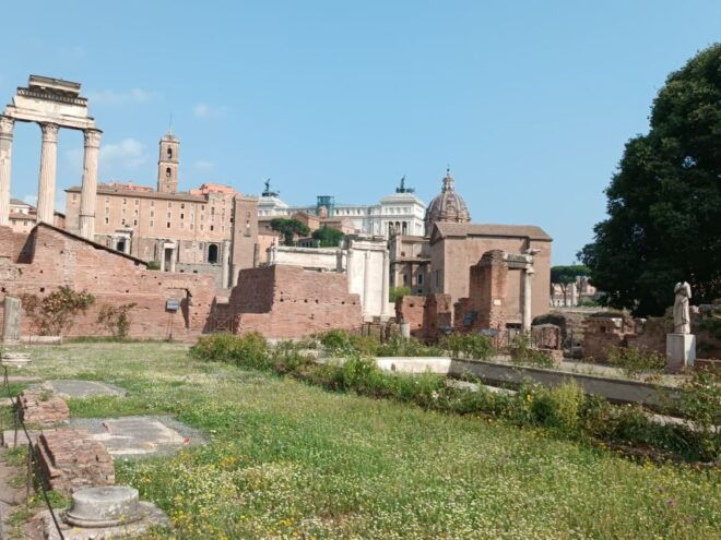 Rome: Roman Forum Myths and Legends Private Guided Tour - Customer Reviews and Rating